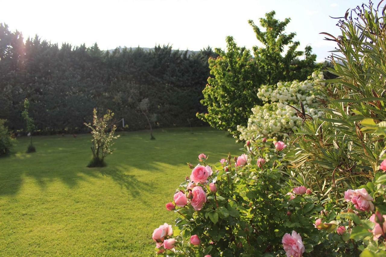 Le Pimayon Hébergement de vacances *