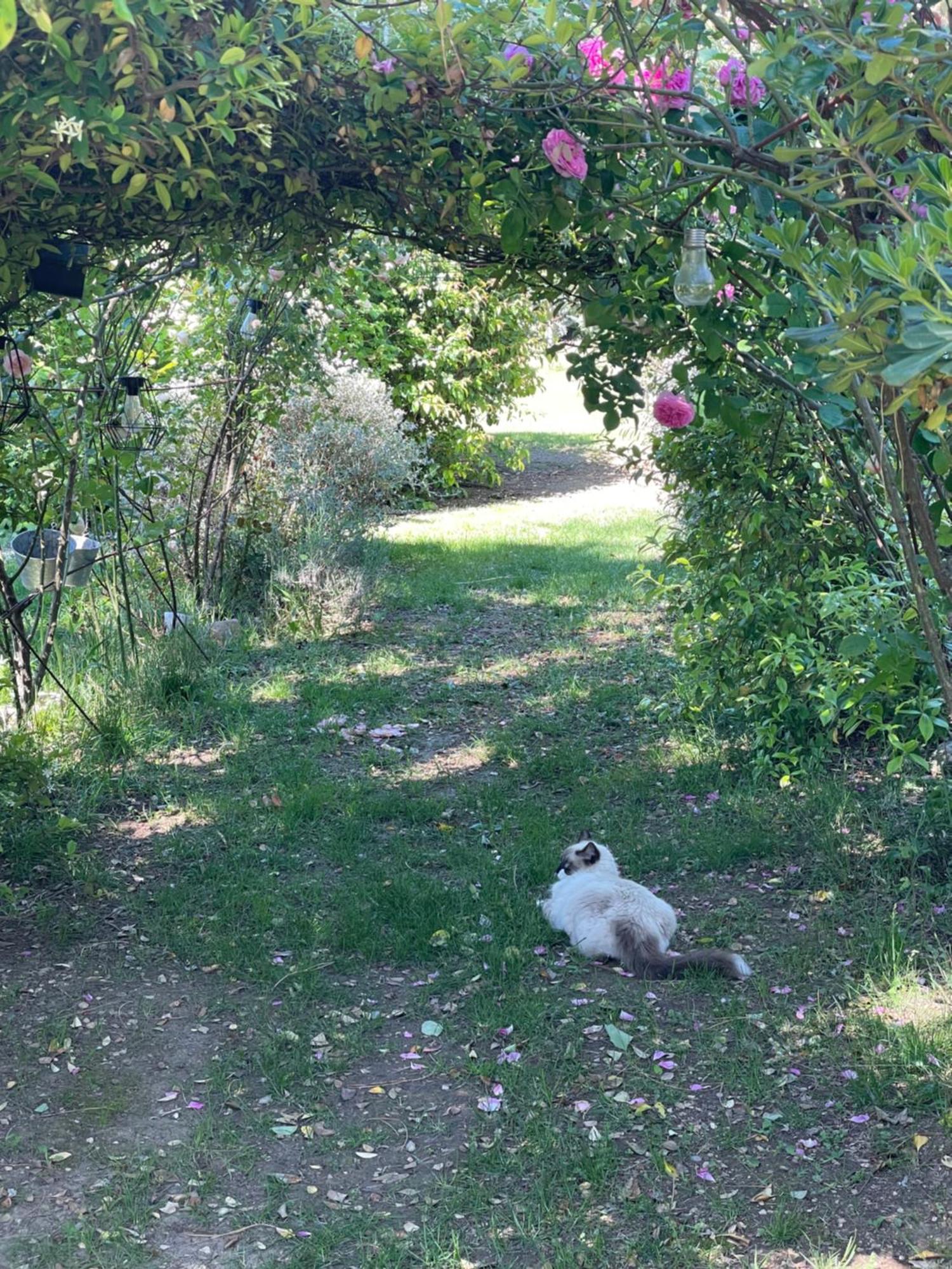 Holiday home Le Pimayon Manosque